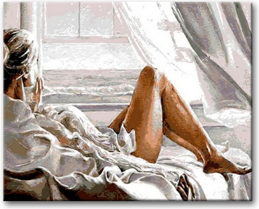 ZUTY Malování podle čísel - POHLED Z OKNA 40x50 YES - obrázek 1