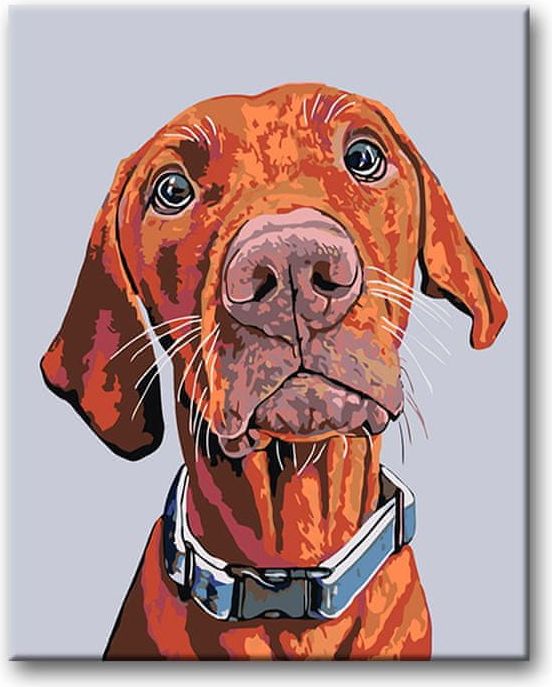 ZUTY Malování podle čísel - RIDGEBACK S MODRÝM OBOJKEM 40x50 NO - obrázek 1