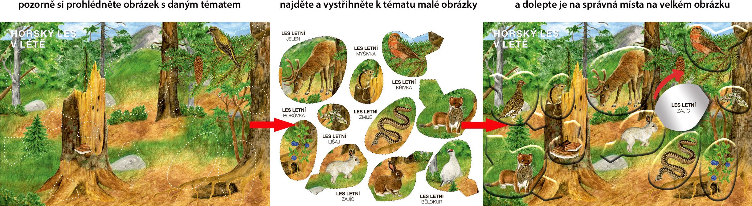 Betexa Začínáme vystřihovat – Na horách - obrázek 7