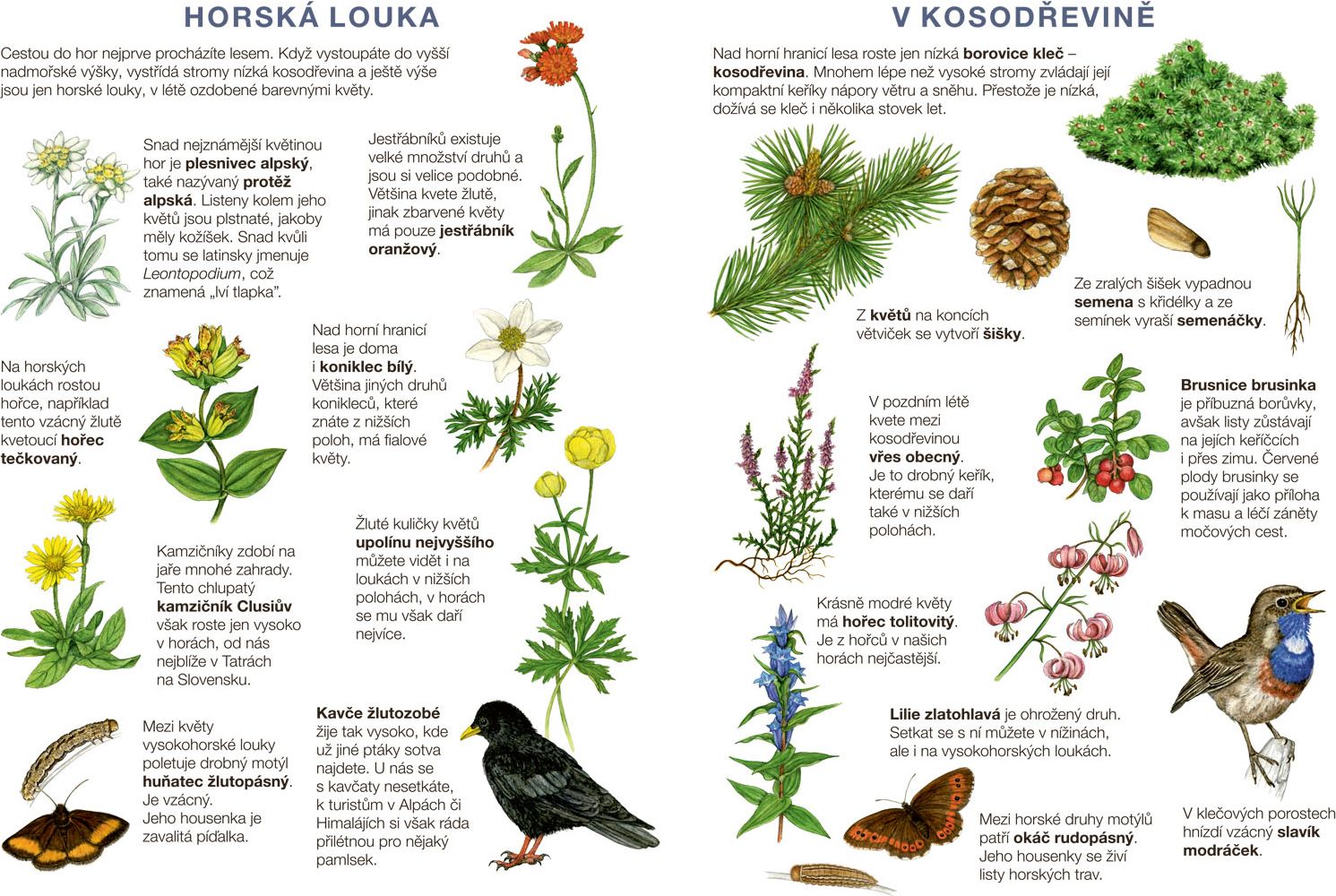 Betexa Začínáme vystřihovat – Na horách - obrázek 8
