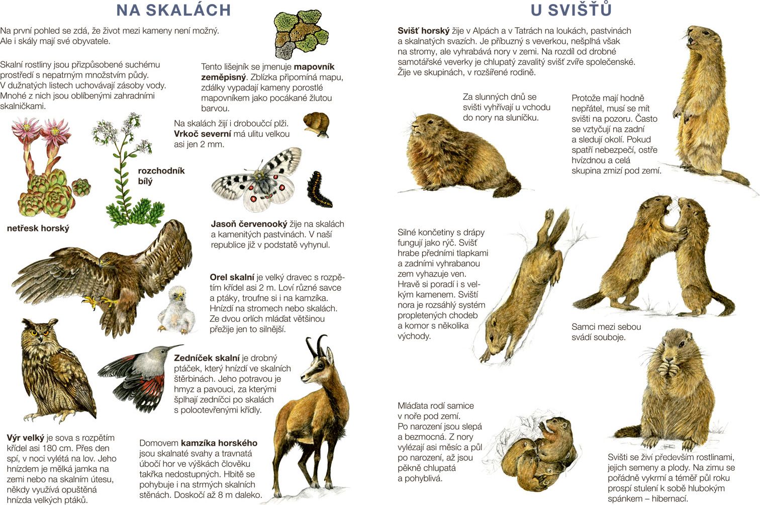 Betexa Začínáme vystřihovat – Na horách - obrázek 10