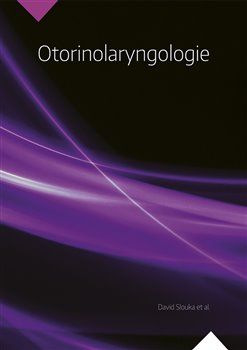 Slouka David: Otorinolaryngologie - obrázek 1