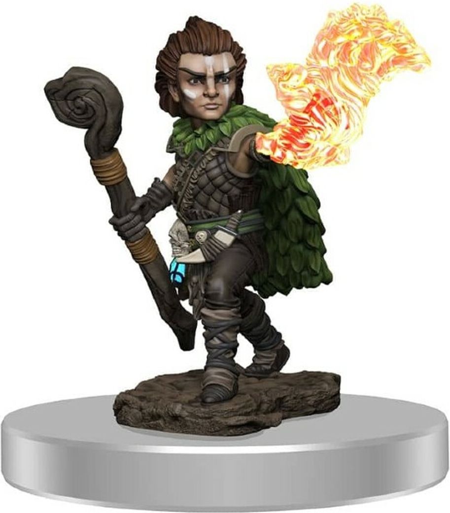 WizKids Pathfinder Painted Premium: Male Gnome Druid - obrázek 1