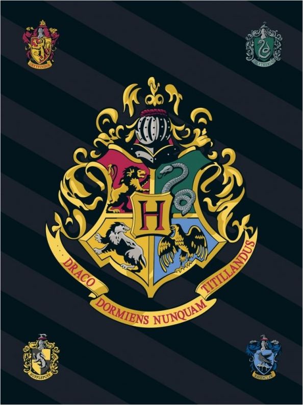 Javoli · Fleecová deka Harry Potter s erbem čarodějnické školy v Bradavicích - obrázek 1