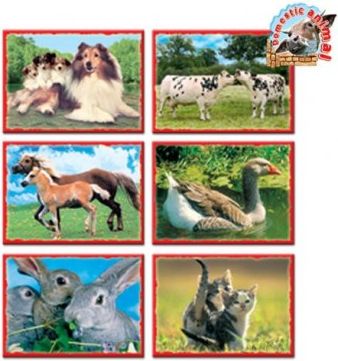 Skládací obrázkové kostky 12 ks domácí zvířátka, Zelená - obrázek 1