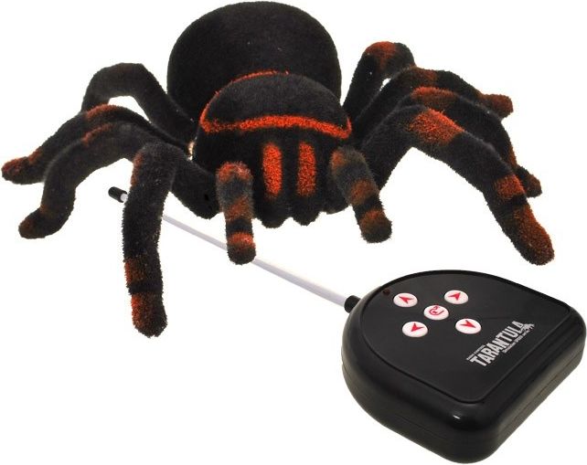 Pavouk na dálkové ovládání - obrázek 1