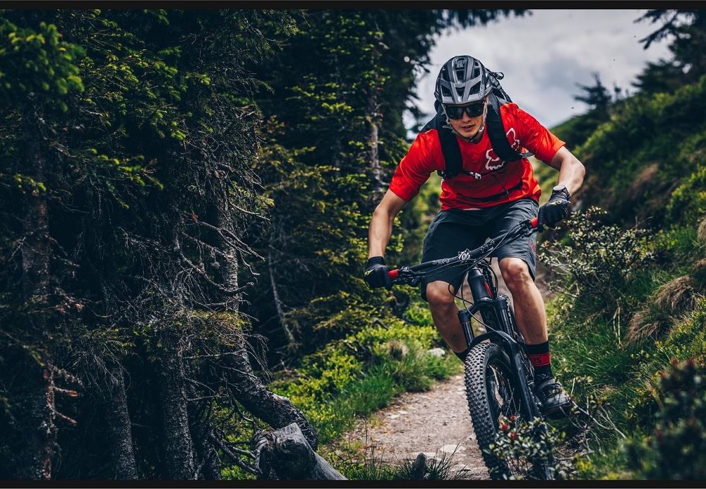 Kellys SLANGER 30 29" - model 2019 L (19,5") - obrázek 4