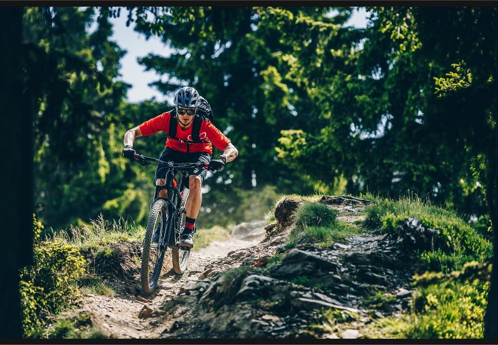 Kellys SLANGER 30 29" - model 2019 L (19,5") - obrázek 5