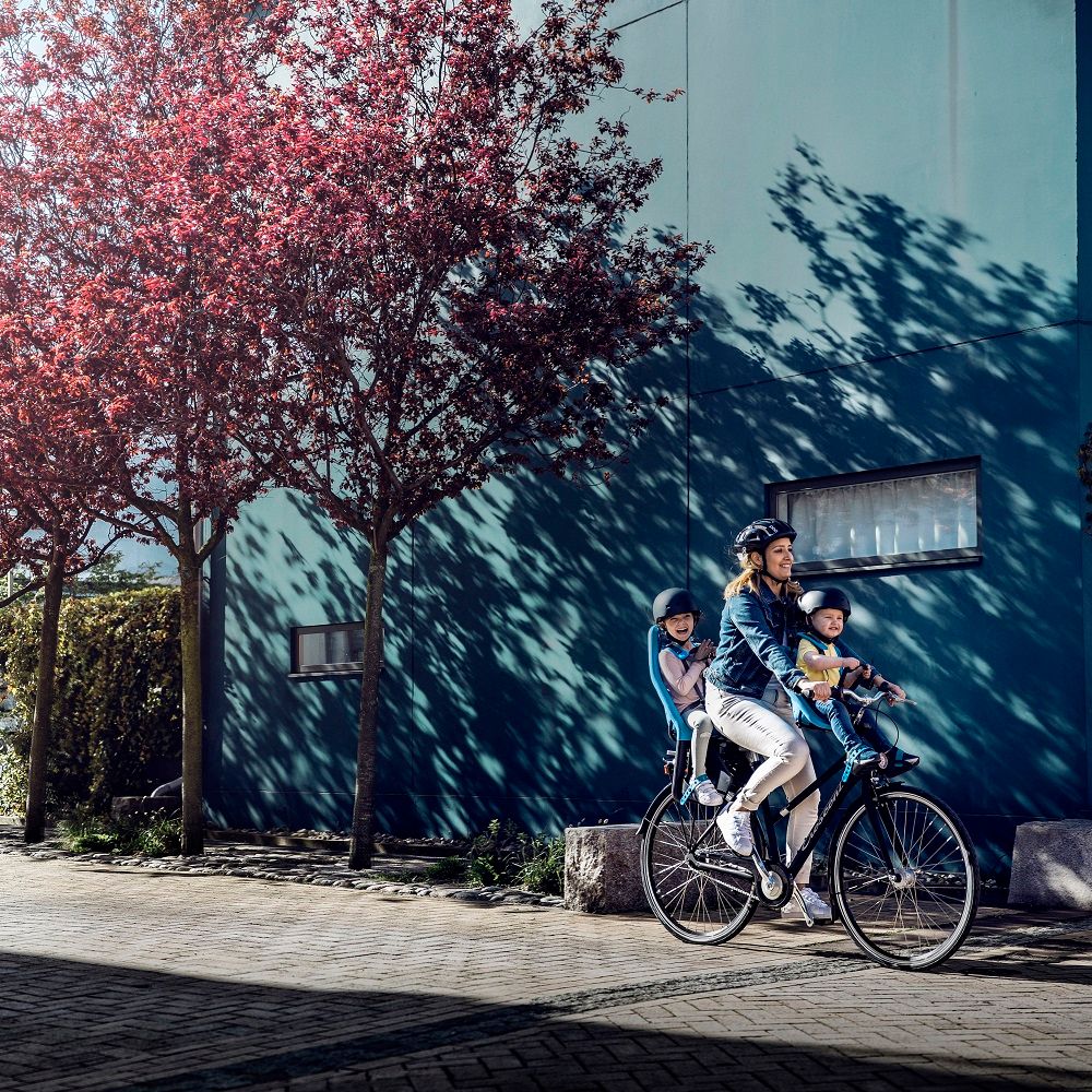 Thule Yepp Maxi Easy Fit Blue - obrázek 13