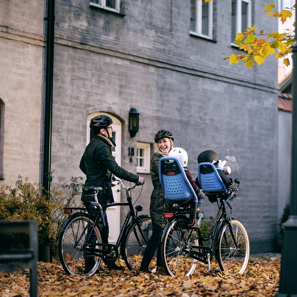 Thule Yepp Mini Blue - obrázek 24