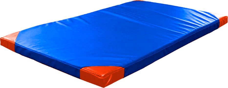 inSPORTline (by Ring Sport) Roshar T110 modrá - obrázek 1