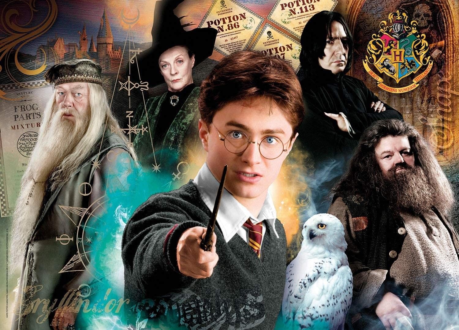 Clementoni Harry Potter II 35083 500 dílků - obrázek 2