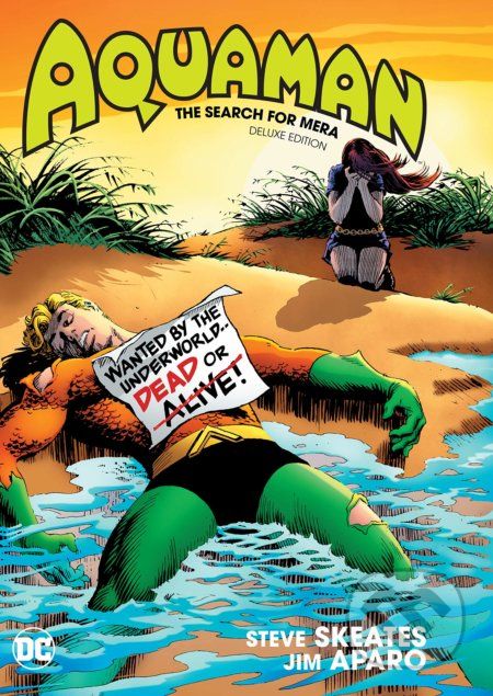 Aquaman: The Search for Mera - Steve Skeates - obrázek 1